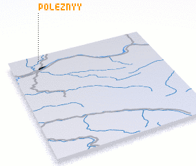 3d view of Poleznyy