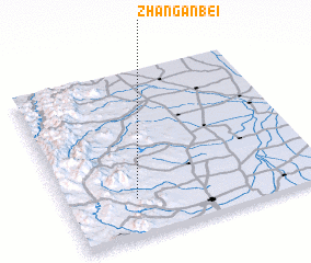 3d view of Zhang\