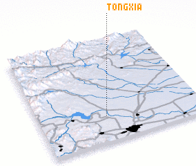 3d view of Tongxia