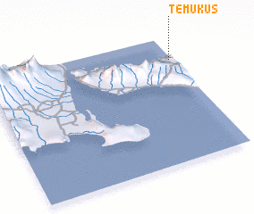 3d view of Temukus