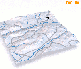 3d view of Taohua