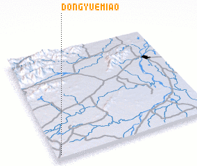 3d view of Dongyuemiao