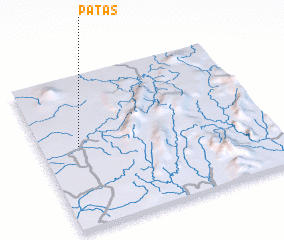 3d view of Patas