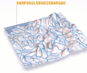 3d view of Kampong Lubok Sebangau