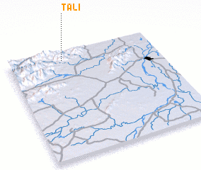 3d view of Tali
