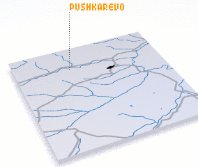 3d view of Pushkarëvo