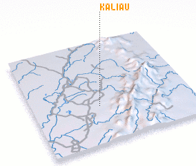 3d view of Kaliau