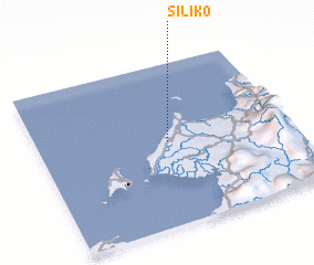 3d view of Siliko