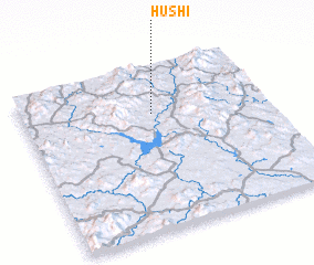 3d view of Hushi