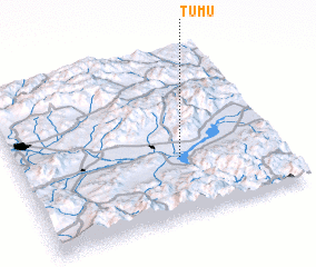 3d view of Tumu