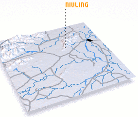 3d view of Niuling
