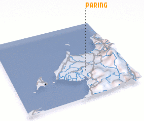 3d view of Paring