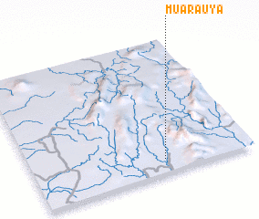 3d view of Muarauya