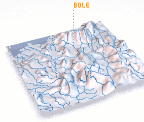 3d view of Bole