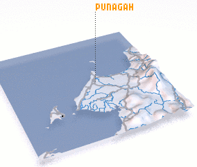 3d view of Punagah