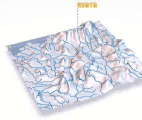 3d view of Muaya