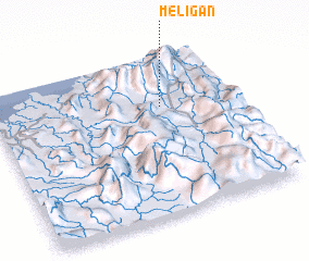 3d view of Meligan