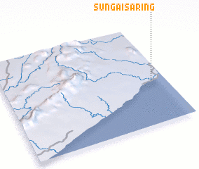 3d view of Sungaisaring