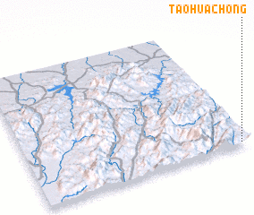 3d view of Taohuachong