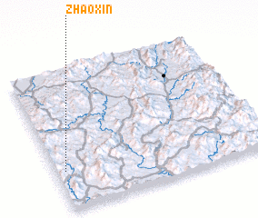 3d view of Zhaoxin