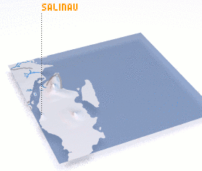 3d view of Salinau