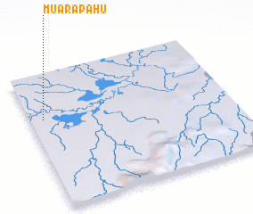 3d view of Muarapahu