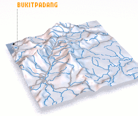 3d view of Bukit Padang