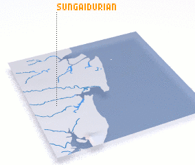 3d view of Sungaidurian