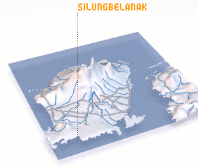 3d view of Silungbelanak