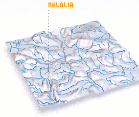 3d view of Malalia