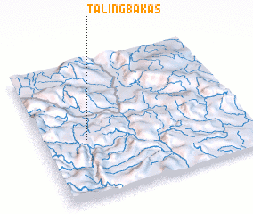 3d view of Talingbakas