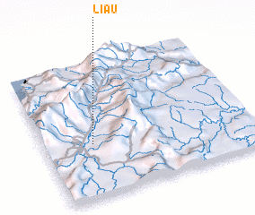 3d view of Liau