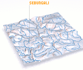 3d view of Sebungali