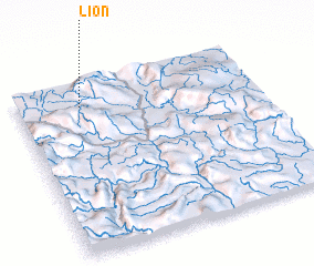 3d view of Lion