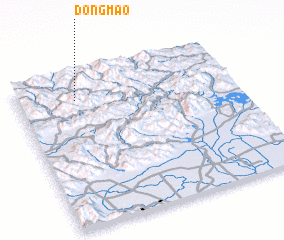 3d view of Dongmao