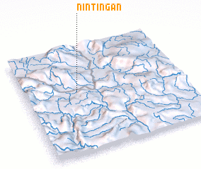 3d view of Nintingan