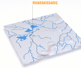 3d view of Muarakedang