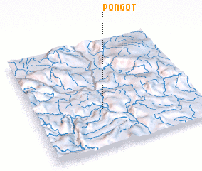 3d view of Pongot