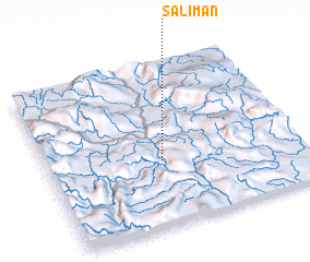 3d view of Saliman