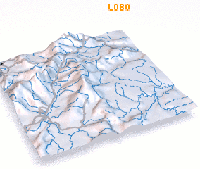 3d view of Lobo