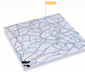 3d view of Ringa