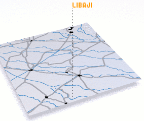 3d view of Libaji