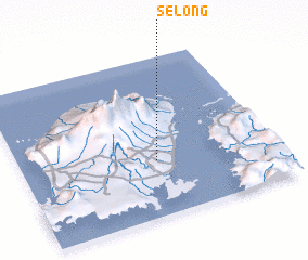 3d view of Selong