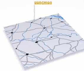 3d view of Wangmiao