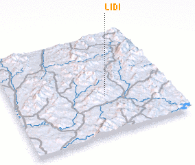 3d view of Lidi