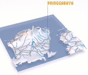 3d view of Pringgabaya