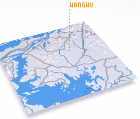 3d view of Wangwu