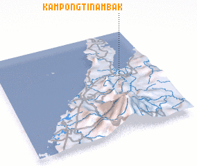 3d view of Kampong Tinambak