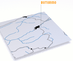 3d view of Butorino