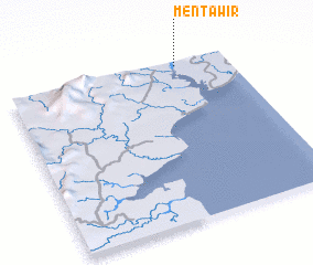 3d view of Mentawir